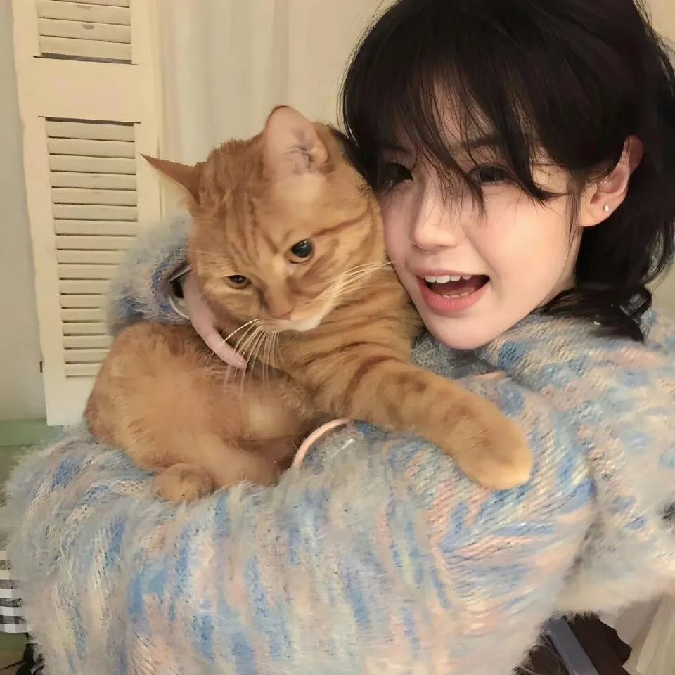 平成骑士对昭和骑士 假面骑士大战feat.超级战队